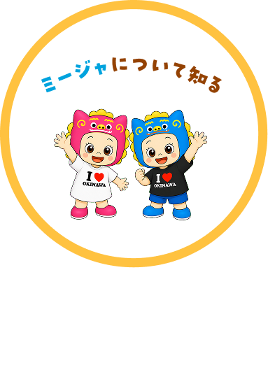 ミージャについて知る SCROLL